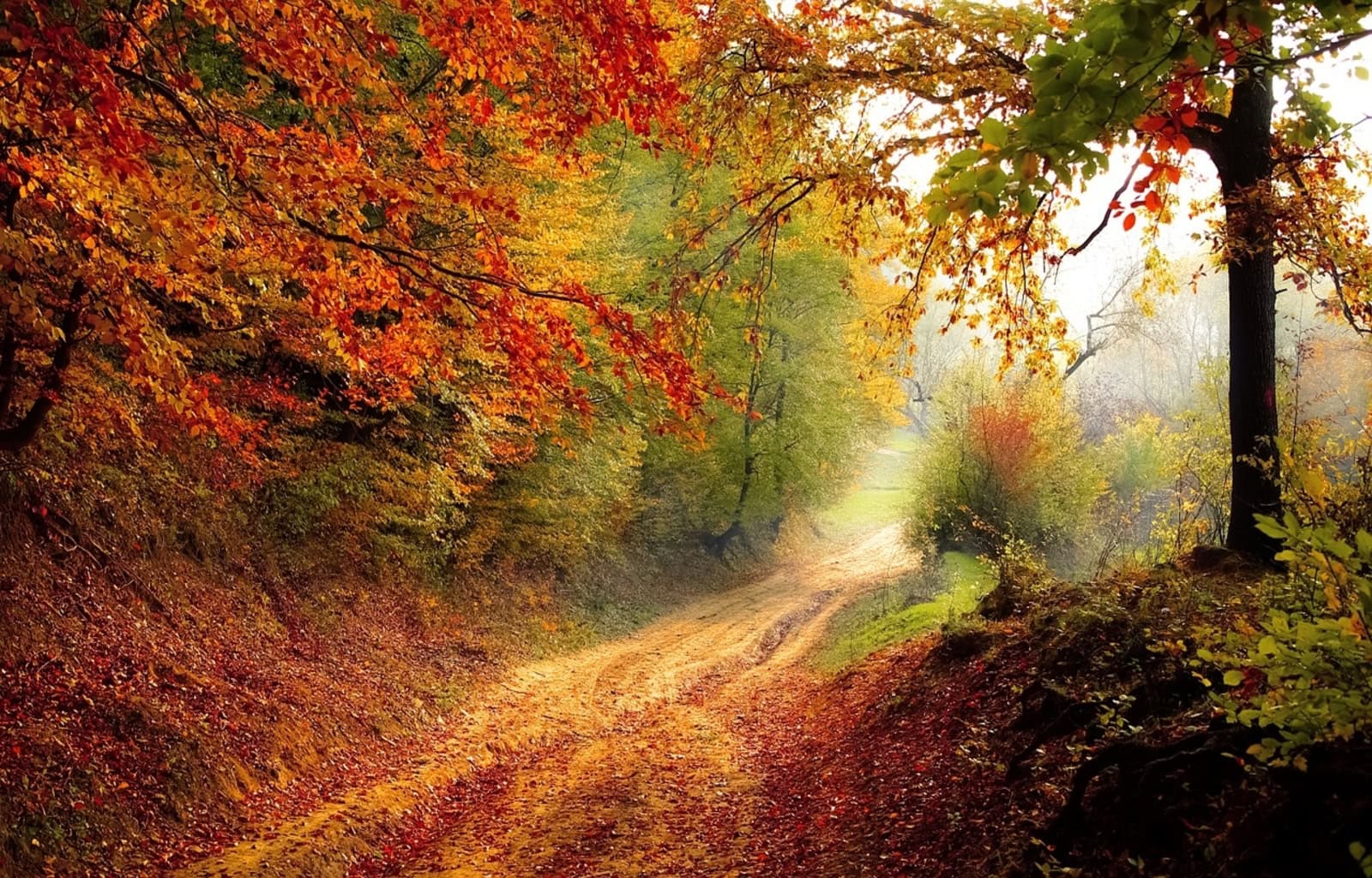 beat places to visit in the fall