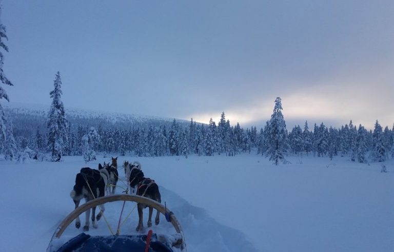 things to do in the snow
