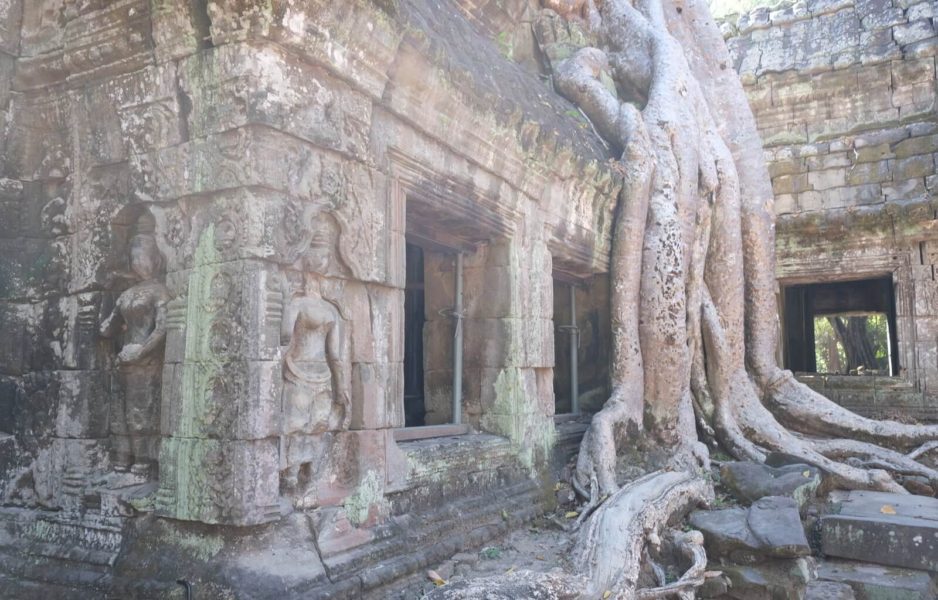 the tomb raider temple in cambodia