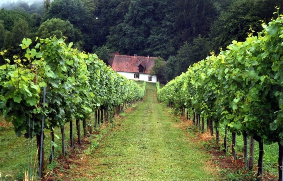 austrian wineries