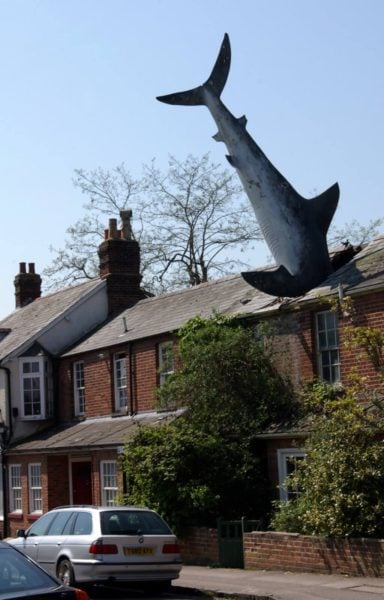 shark attack house