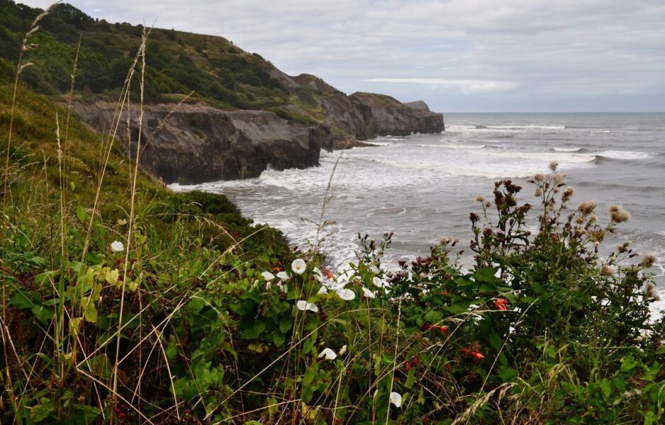 Robin Hoods bay is one of the best coastal walks in england