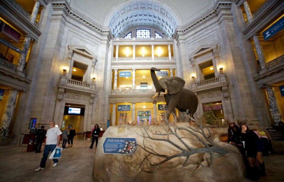 Museum of History