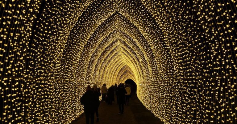 Blenheim Palace At Christmas – Everything You Need To Know
