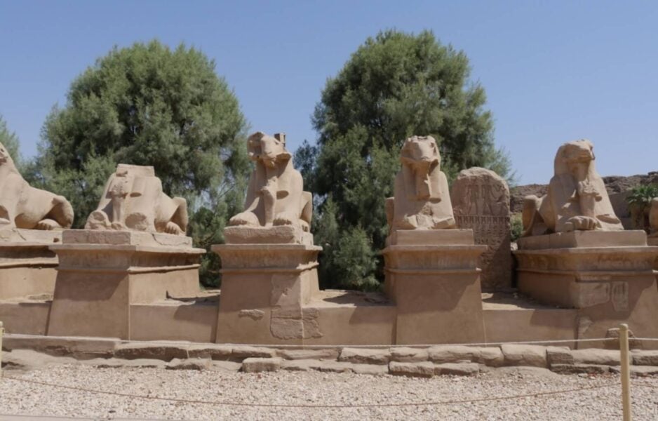 The sphinxes are one of the bes tthings to see in Luxor