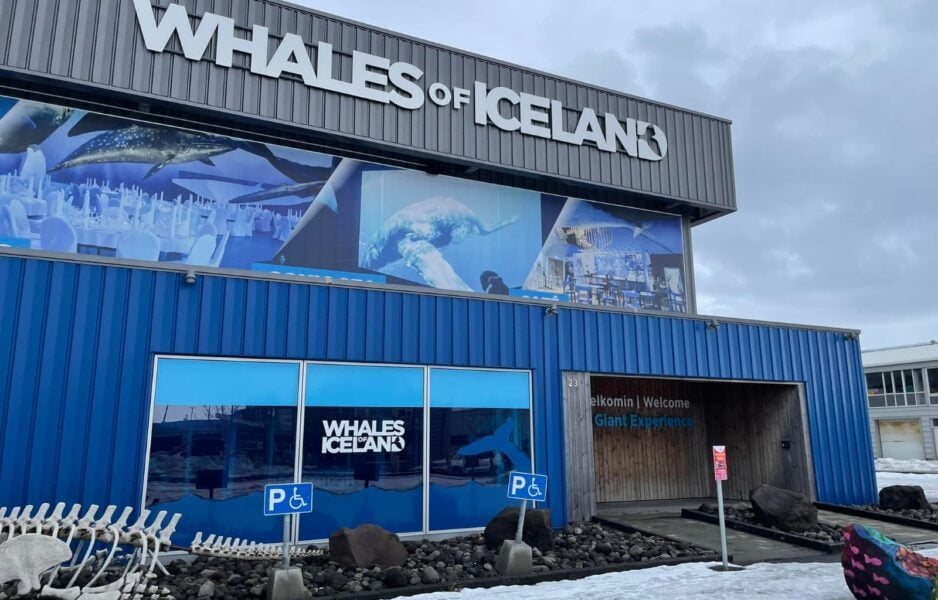 Whales of Iceland