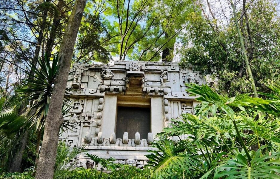 anthropology museum