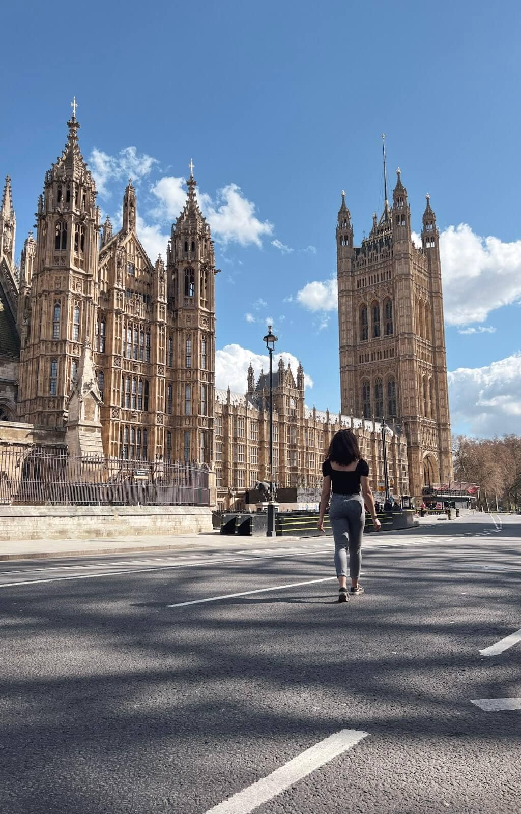 houses or parliment london