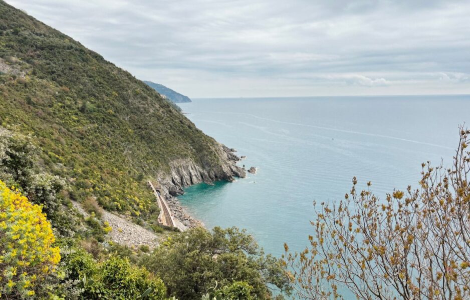 ocean views from the hiking trails 
