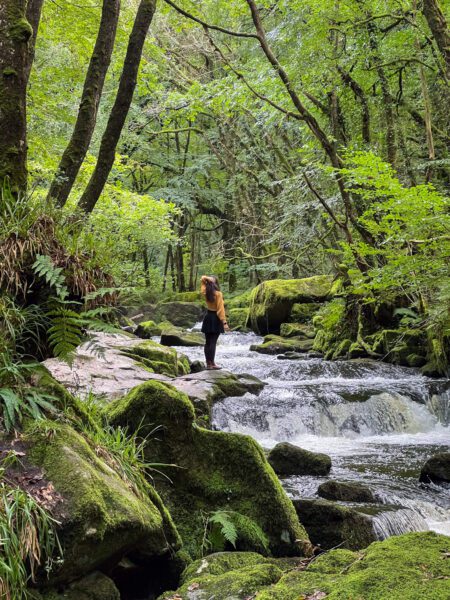Waterfalls in Bodmin