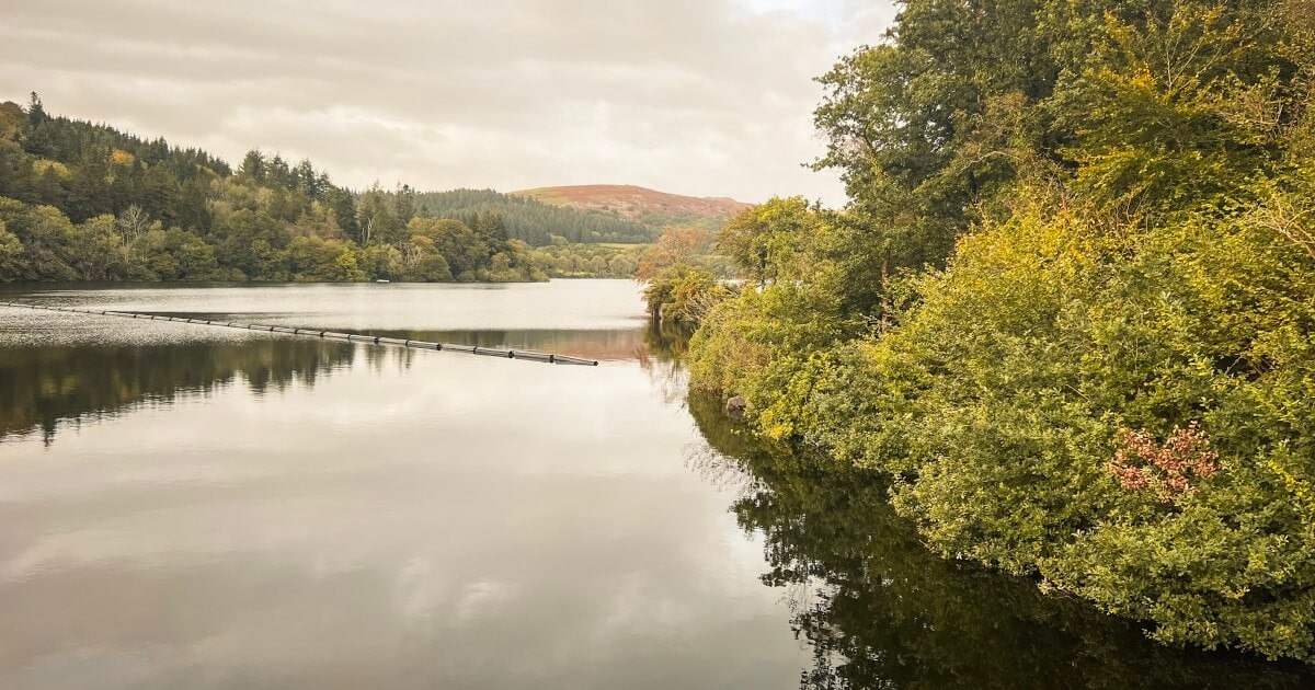 The best places to visit in November