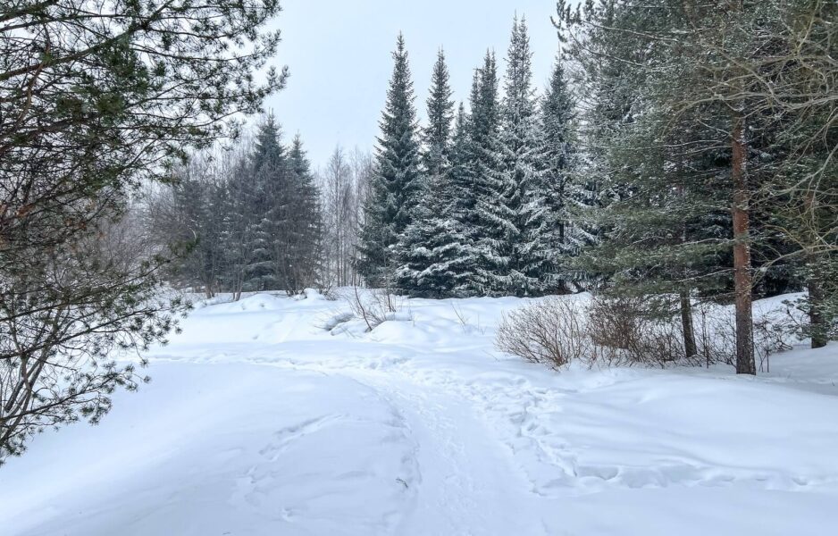 Rovaniemi, Finland