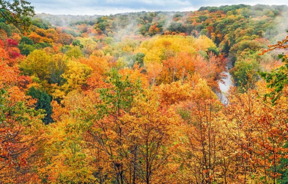 Cuyagoga Valley National Park in Ohio