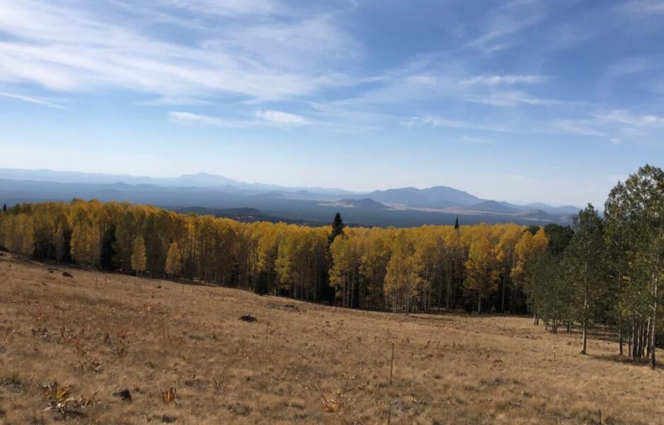 Flagstaff is beautiful in the USA in autumn
