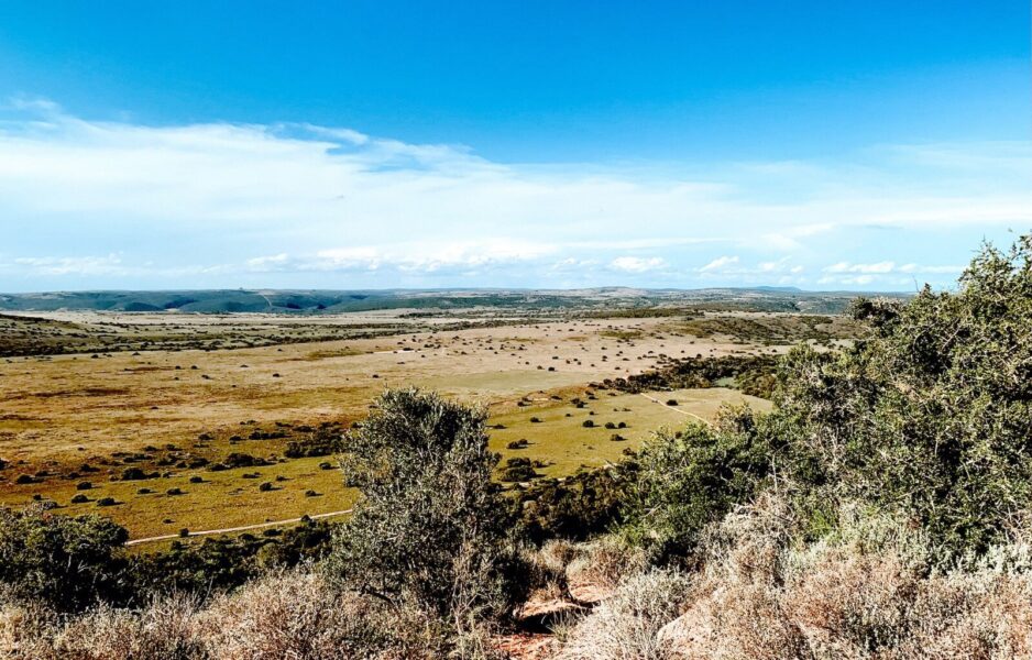The beautiful south Africa in winter, one of the warmest places to visit in February