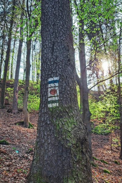 Some of the hiking route in Bastei has a sign marking the way