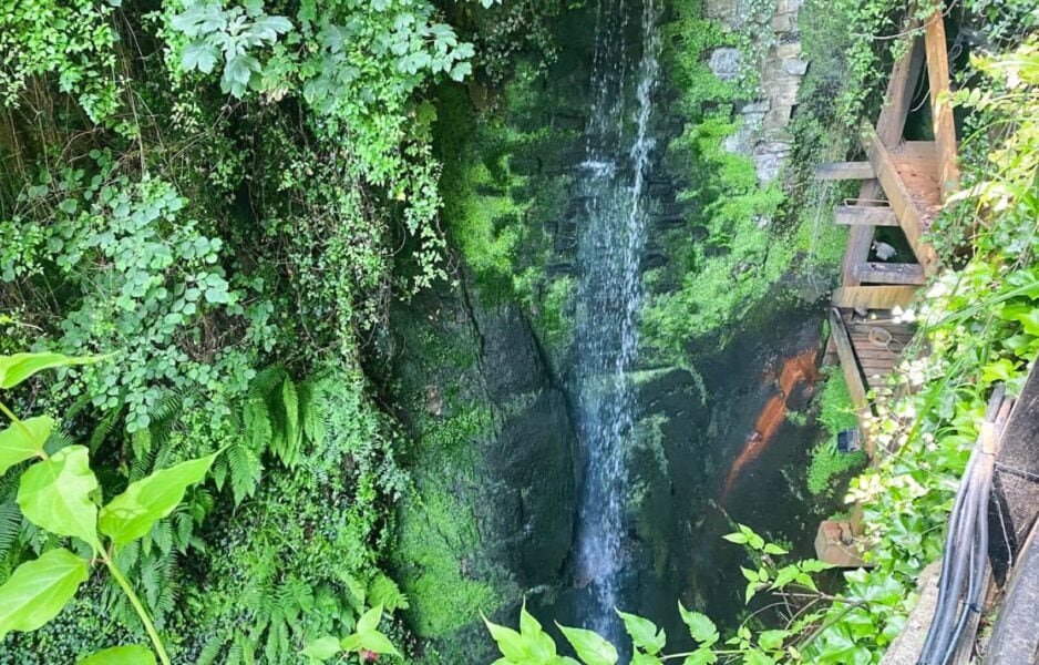 One of the waterfalls in Shanklin Chine - one of the best things to do on the Isle of Wight