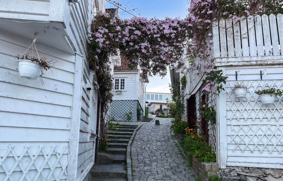 Streets of Stavanger and flowers