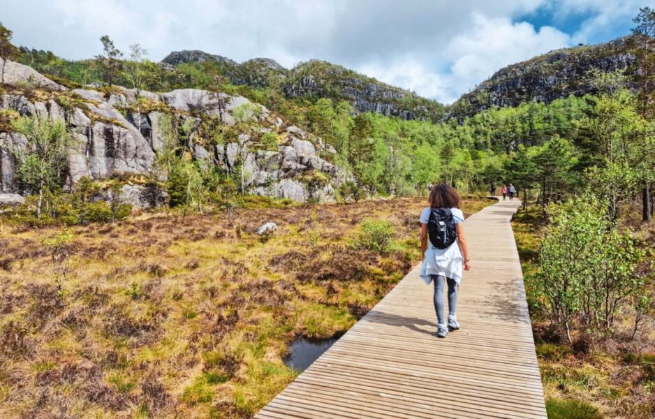 One of the flatter parts of the Pulpit Rock hiking trails
