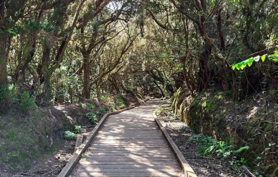 The start of the trail of the senses hike